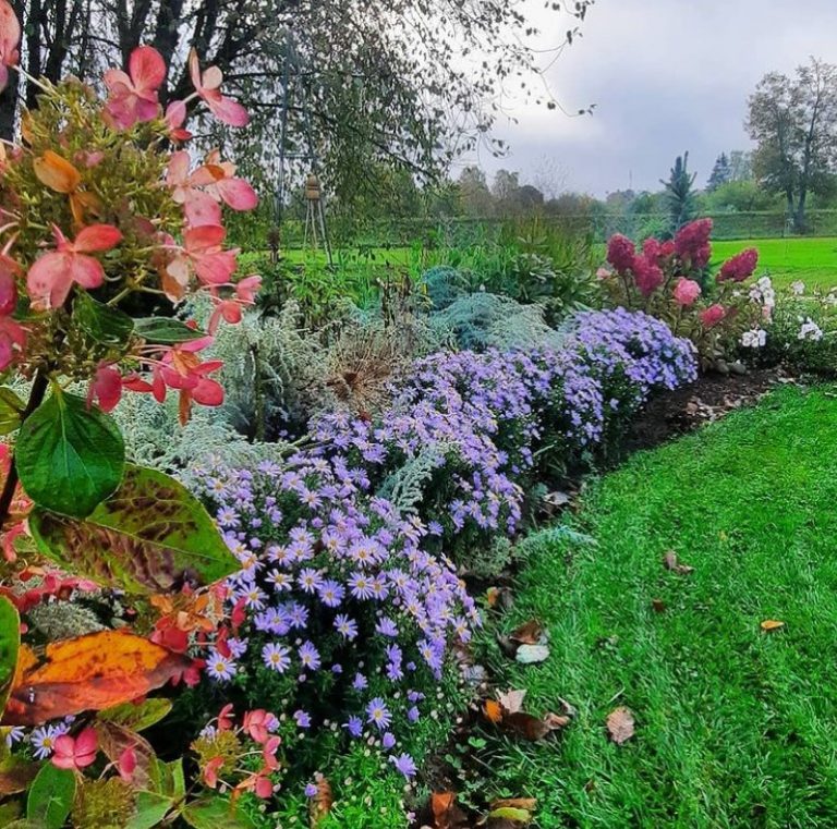 Stādaudzētava “Raunas stādi” un Riekstiņu ģimenes dārzs - Ceļveži.lv
